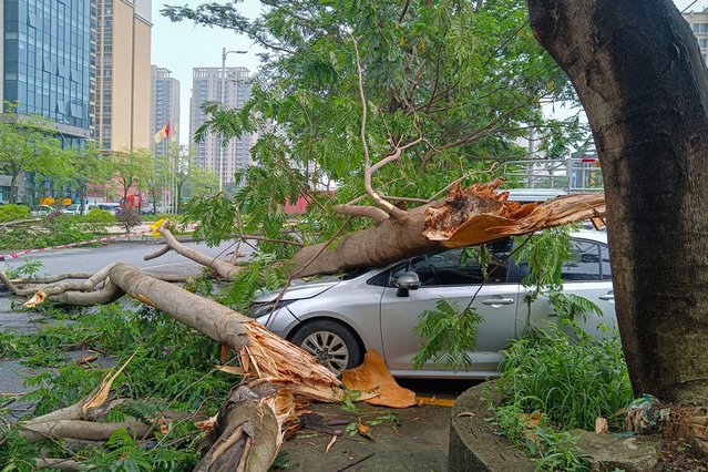 This picture shows fallen trees atop a car following heavy rains in Qingyuan city, in China's southern Guangdong province on April 22, 2024. (Photo by AFP Photo/China Stringer Network)
