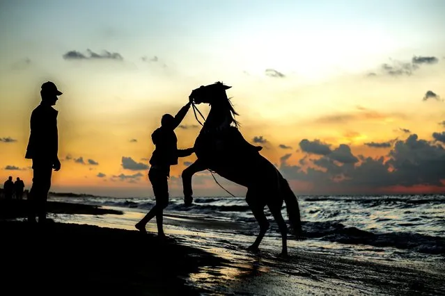 A Palestinian man stand in front of his horse, his horse standing up on hind legs and then jumping in the air on the Gaza Beach during sunset, on December 16,2021. (Photo by Sameh Rahmi/NurPhoto via Getty Images)