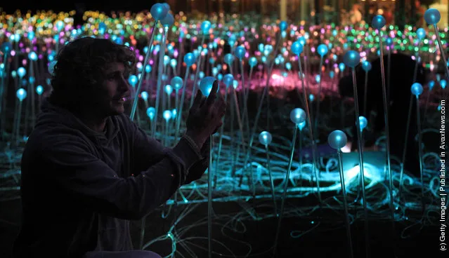 Bruce Munro's latest installation 'Field of Light' in the grounds of the Holbourne Musuem in Bath, England