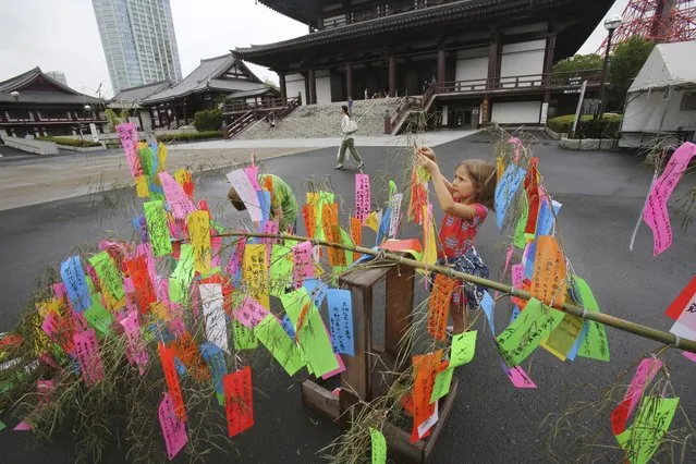 A girl tags colorful strips of paper messages to bamboo branch at Zojoji temple during the celebration of upcoming Tanabata, or Japan's star festival, in Tokyo Saturday, June 27, 2015. According to legend, deities Orihime (Vega) and her lover Hikoboshi (Altair), separated by the Milky Way, are allowed to meet only once a year, July 7.  People in the country celebrate the festival by writing wishes on the strips and hanging them under bamboo trees. (Photo by Koji Sasahara/AP Photo)