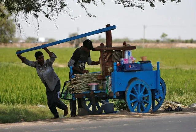 Men squash sugarcane in a hand run wooden grinder under the shadow of a tree on a hot day on the outskirts of Ahmedabad, March 31, 2017. (Photo by Amit Dave/Reuters)