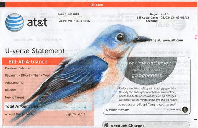 During the recession and looking for work she began sketching birds on the inside of books, seeing the practice as a creative way to mutate the pages into something fresh. Bluebird drawing on an AT&T bill. (Photo by Paula Swisher/Caters News)