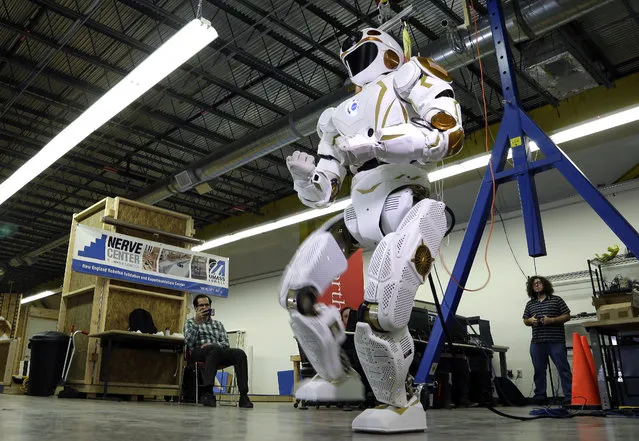 In this May 2, 2016 photo, researchers watch a six-foot-tall, 300-pound Valkyrie robot walk slowly at University of Massachusetts-Lowell's robotics center in Lowell, Mass. “Val”, one of four sister robots built by NASA, could be the vanguard for the colonization of Mars by helping to set up a habitat for future human explorers. NASA spokesman Jay Bolden says the agency aims to get to Mars by 2035 and it'll be the Valkyries or their descendants paving the way. (Photo by Elise Amendola/AP Photo)