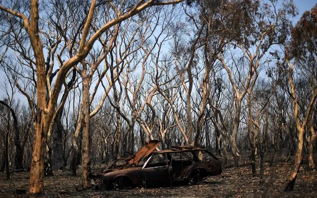 A burnt car is seen among the charred trees in Lithgow, in Australia's New South Wales, on January 11, 2020. Massive bushfires in southeastern Australia have a “long way to go”, authorities have warned, even as colder conditions brought some relief to exhausted firefighter and communities. (Photo by Saeed Khan/AFP Photo)