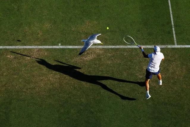 Britain's Ryan Peniston in action during his second round match against Spain's Pedro Martinez as a bird flies past during Eastbourne International, Devonshire Park Lawn Tennis Club, Eastbourne, Britain on June 23, 2022. (Photo by Andrew Boyers/Action Images via Reuters)