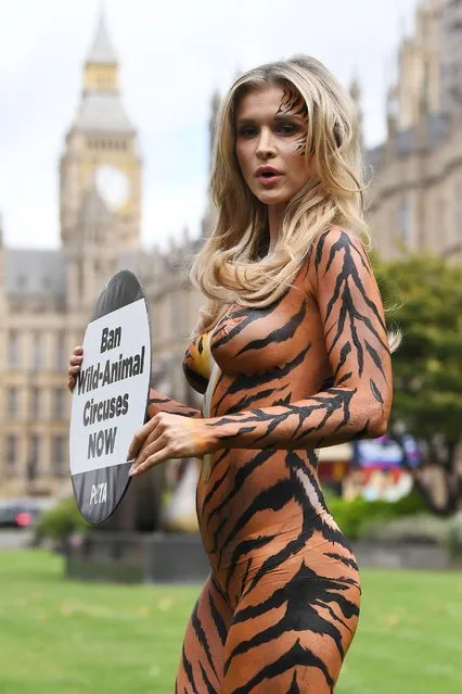 Joanna Krupa attends a PETA photocall painted as a tiger to campaign for a ban on Animal Circuses at Westminster on September 11, 2017 in London, England. (Photo by James Gourley/Rex Features/Shutterstock)