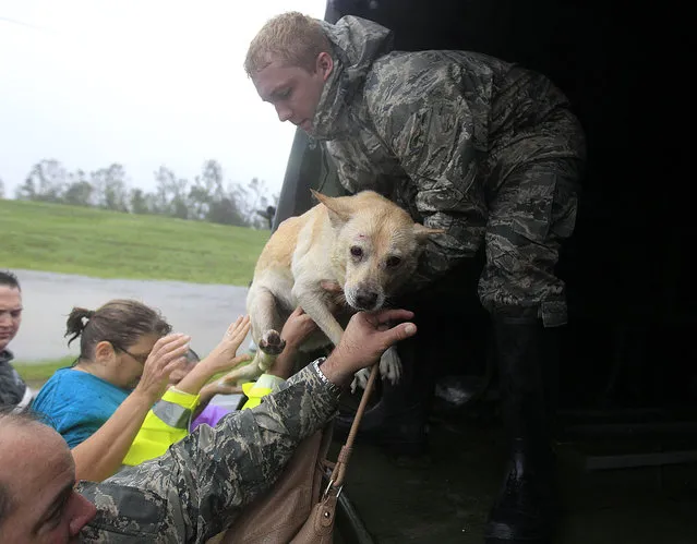 People and a dog who were rescued from their flooded homes are loaded into a Louisiana National Guard truck, after Hurricane Isaac made landfall and flooded homes with 10 feet of water in Braithwaite, La., in Plaquemines Parish Wednesday, Aug. 29, 2012. (Photo by Gerald Herbert/AP Photo)