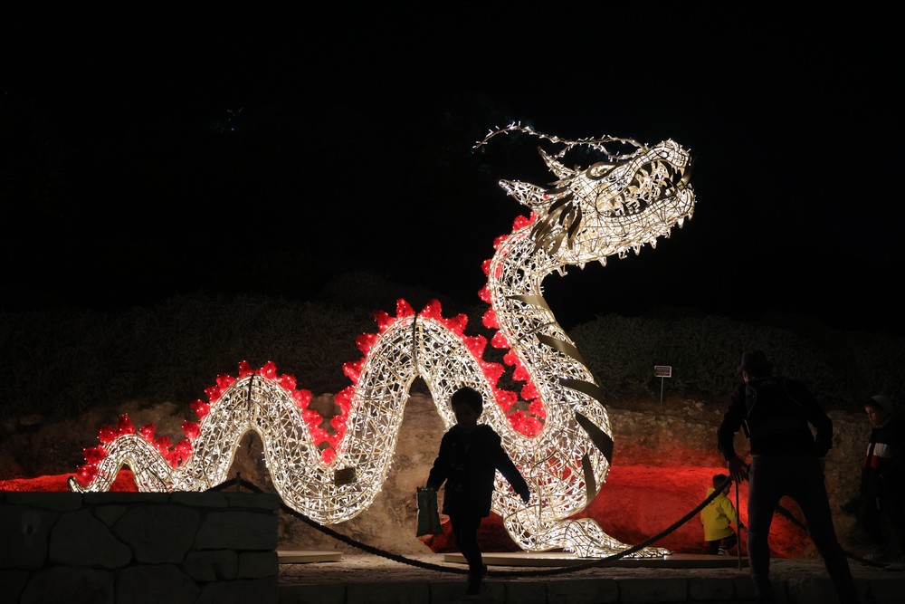 Some Photos: Silhouettes