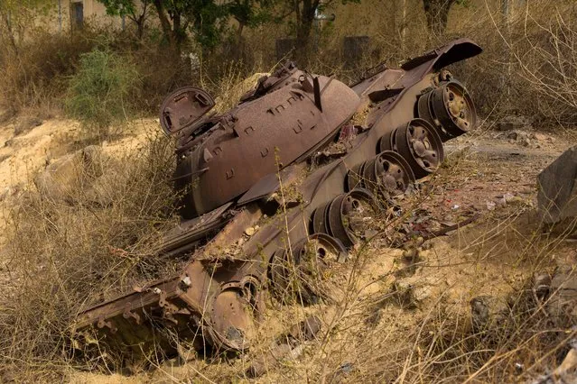 “Throughout the country, there are many enemy Ethiopian tanks, the result of war that ended in 1993”, Buret says. “But nothing has changed since then. The tanks were not removed, the architecture was not renovated and the economy has not been developed. The country is frozen and seems like a big jail”. (Photo by Stéphanie Buret/The Guardian)