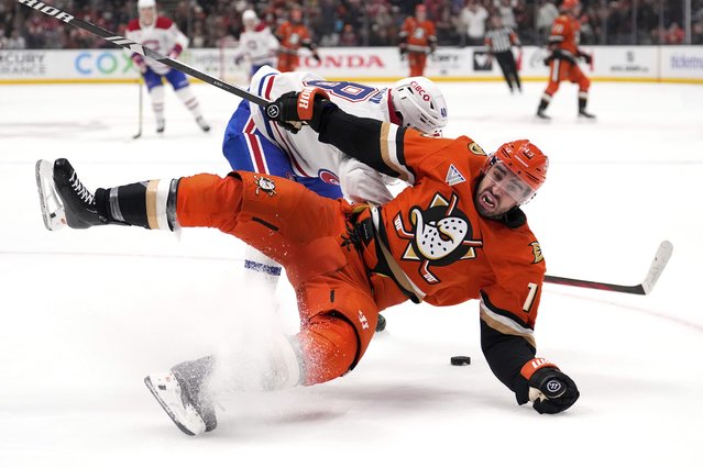 Anaheim Ducks center Robby Fabbri, right, falls as he battles for the puck with Montreal Canadiens defenseman Lane Hutson during the third period of an NHL hockey game, Sunday, February 2, 2025, in Anaheim, Calif. (Photo by Mark J. Terrill/AP Photo)