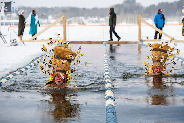 Swimmers take part in the 25 meter hat competition swim during the Memphremagog Winter Swimming Festival at lake Memphremagog in Newport, Vermont on February 21, 2025. (Photo by Joseph Prezioso/AFP Photo)