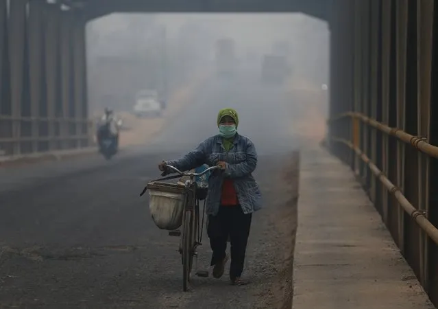 A woman pushes a bicycle as haze shrouds a street near Tanjung Siapi Api port in Palembang, on the Indonesian island of Sumatra, September 19, 2015. (Photo by Reuters/Beawiharta)