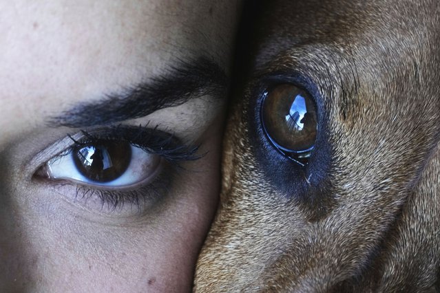 Magalí Maisonnave poses for a photo with her six-year-old dachshund Sandro in their home in Buenos Aires, Argentina, April 6, 2025. (Photo by Natacha Pisarenko/AP Photo)