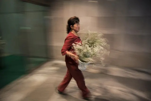 A woman carries Flowers to decorate the lobby of a hotel in Pyongyang late October 7, 2015. (Photo by Damir Sagolj/Reuters)