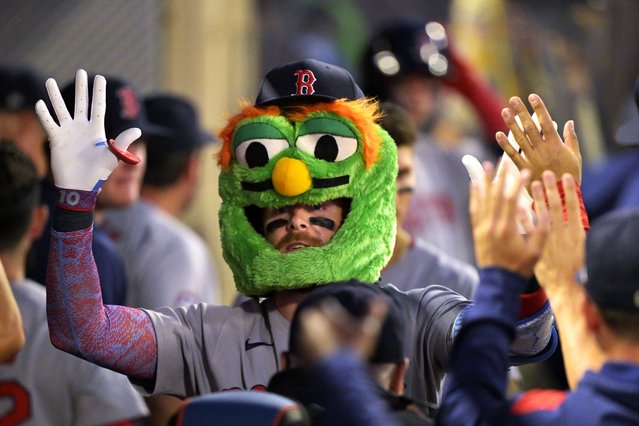 Boston Red Sox's Trevor Story is congratulated in the dugout after hitting a solo home run during the sixth inning of a baseball game against the Los Angeles Angels, Monday, June 23, 2025, in Anaheim, Calif. (Photo by Jayne Kamin-Oncea/AP Photo)
