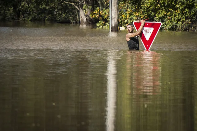 A man holds onto a yield sign after trying to swim out to help a truck driver who was stranded in floodwater from Hurricane Matthew, at U.S. Highway 301 and Tom Starling Road in Hope Mills, N.C., Sunday, October 9, 2016. Both people were rescued. (Photo by Andrew Craft/The Fayetteville Observer via AP Photo)