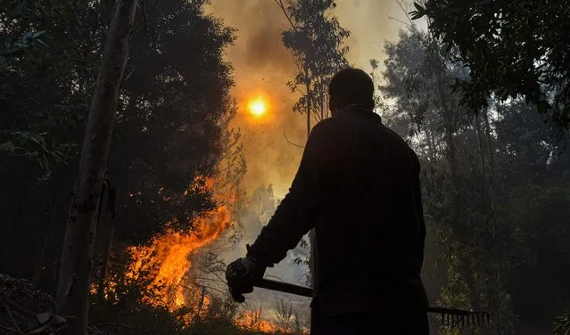A volunteer helps fight a forest fire in El Patagual, Chile, on February 21, 2023. The Chilean government announced on February 21 that there are four new worrying fires due to their proximity to populated areas in the south-central part of the country, where earlier this months the fire left 25 people dead and more than 7,000 homeless while destroying vast tracts of forest. (Photo by Guillermo Salgado/AFP Photo)