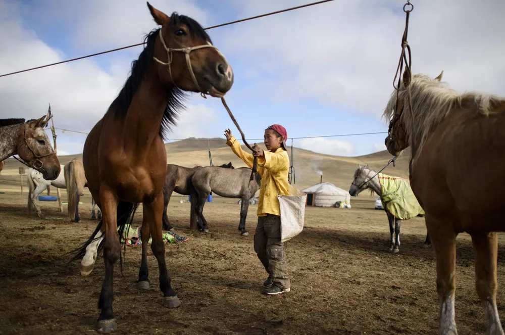 Mongolian Child Jockey