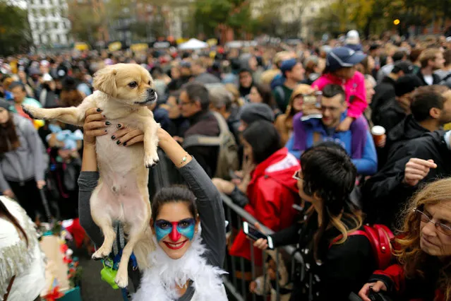 A reveller takes part in the annual halloween dog parade at Manhattan's Tompkins Square Park in New York, U.S. October 22, 2016. (Photo by Eduardo Munoz/Reuters)