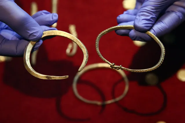 Viking armbands are held during a press preview for a rare Viking hoard discovered by metal detector enthusiast James Mather, at the British Museum on December 10, 2015 in London, England. The hoard was discovered in Watlington in Norfolk and is believed to have been buried in around 870. It was excavated as part of the Portable Antiquities Scheme and is now on display at the British Museum. (Photo by Carl Court/Getty Images)