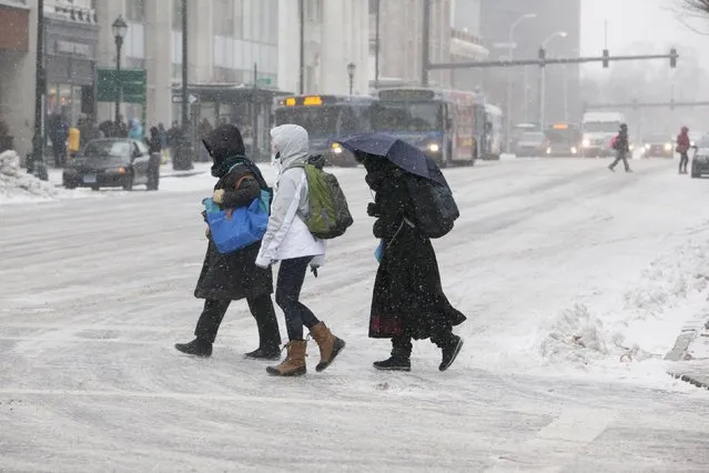 Women walk through falling snow in New Haven, Connecticut January 26, 2015. (Photo by Michelle McLoughlin/Reuters)