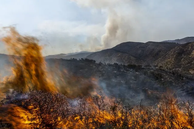 A forest burns during a wildfire near Altura, eastern Spain, on Friday, August 19, 2022. Spain must do more to prepare for increasingly virulent wildfires stoked by climate change, a large group of the country’s leading wildfire prevention experts said on Thursday, June 15, 2023. (Photo by Alberto Saiz/AP Photo)