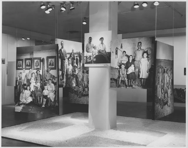Installation view of "The Family of Man" exhibition at The Museum of Modern Art in New York, 1955. (Photo by Rolf Petersenv/The Museum of Modern Art, New York)