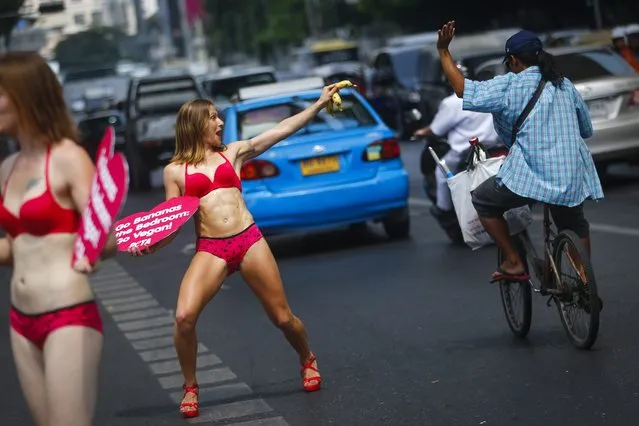An animal rights activist from People for the Ethical Treatment of Animals (PETA) hands out bananas to motorists at an intersection in Bangkok, Thailand, 12 February 2015. (Photo by Diego Azubel/EPA)