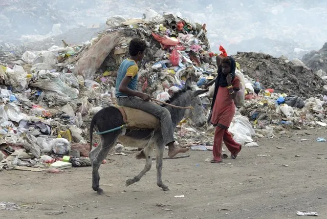 A boy rides a donkey at a rubbish dump where he collects recyclable waste outside Yemen's Red Sea port city of Houdieda January 20, 2016. (Photo by Abduljabbar Zeyad/Reuters)