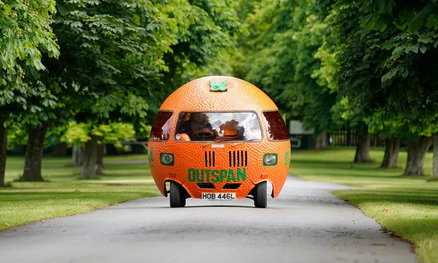 A Mini Outspan Orange is driven around the grounds during a preview for the opening of “The Story of Motoring in 50 Objects” exhibition in celebration of the 50th anniversary of the National Motor Museum at Beaulieu, Hampshire on Friday, July 1, 2022. (Photo by Andrew Matthews/PA Images via Getty Images)