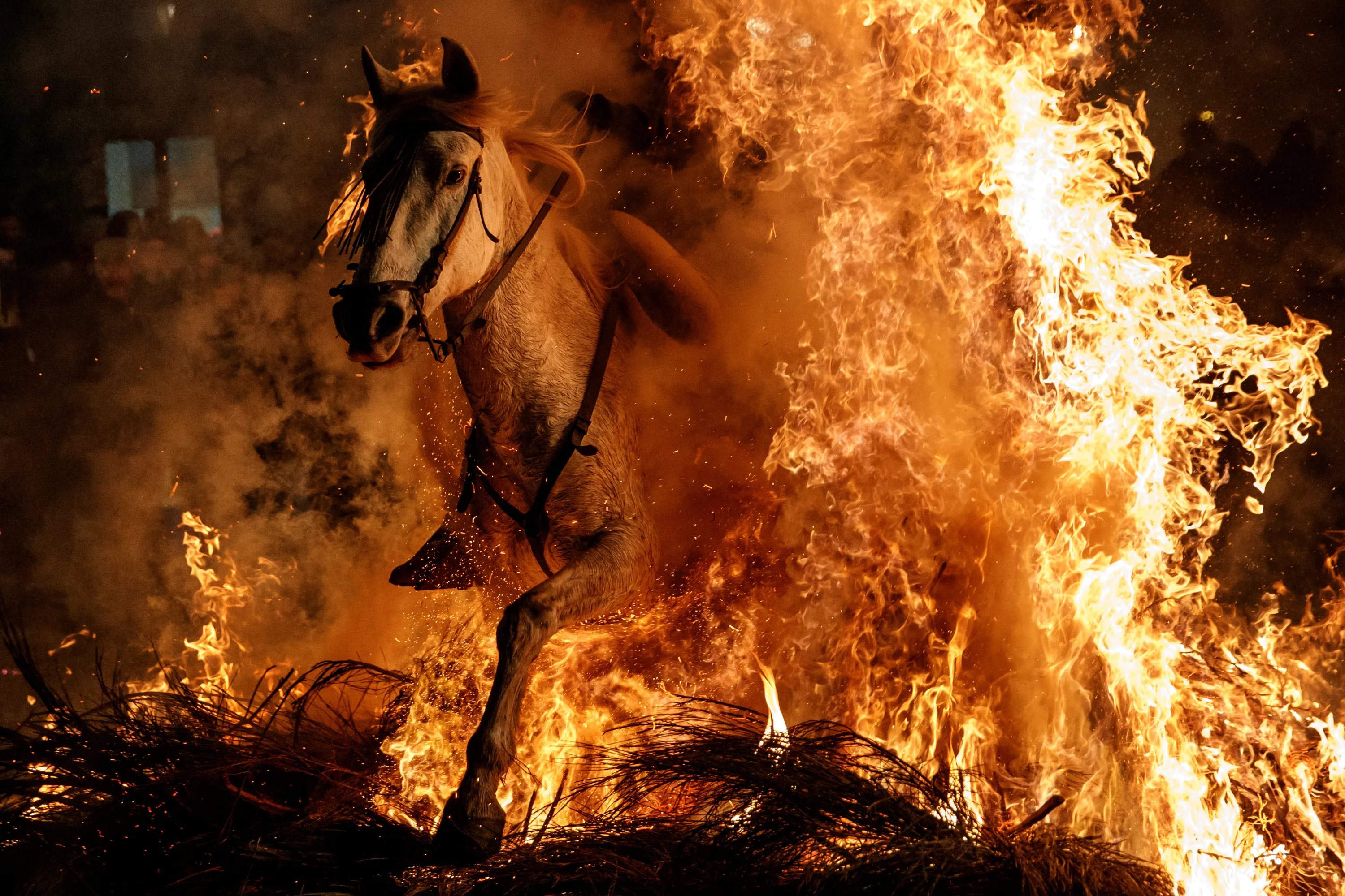 Горящая конюшня. Огненный конь. Лошадь в огне. Огненная лошадь. Горящая лошадь.