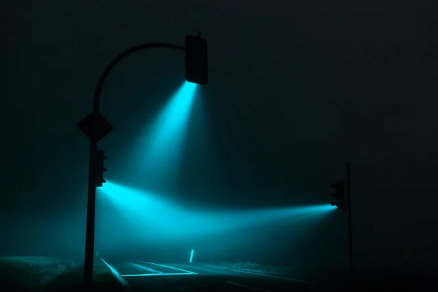 Misty Traffic Lights In Germany Photographed By Lucas Zimmermann