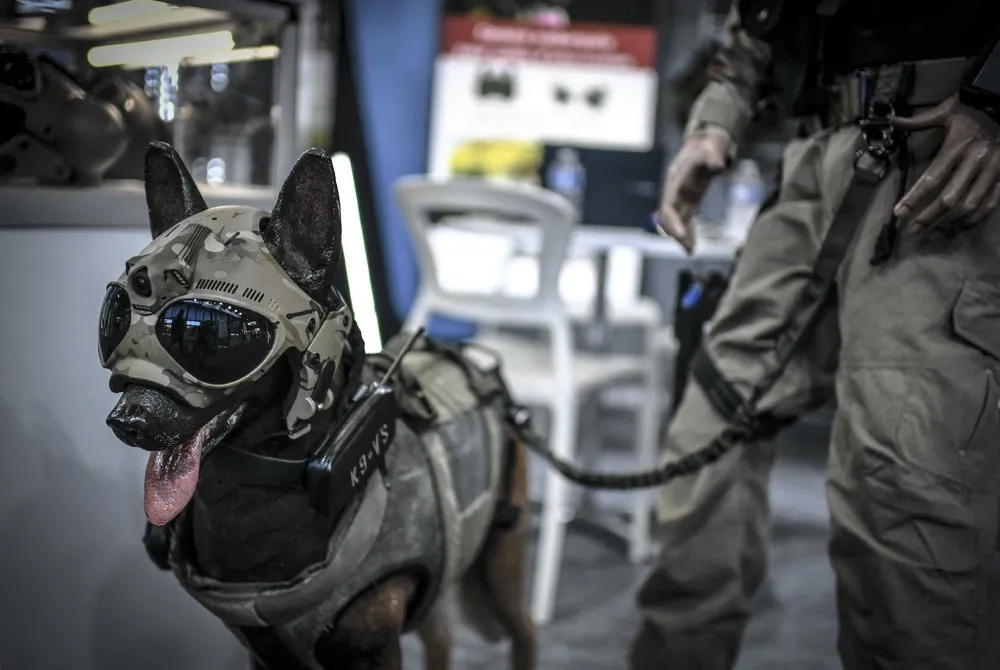 The Day in Photos – October 22, 2021