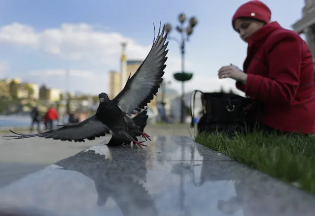 A women feeds a pigeon in downtown Kiev, Ukraine, Saturday, April 20, 2019. Ahead of Sunday's hotly contested presidential election, Ukraine is observing a so-called “day of silence” in which campaigning is forbidden. (Photo by Sergei Grits/AP Photo)