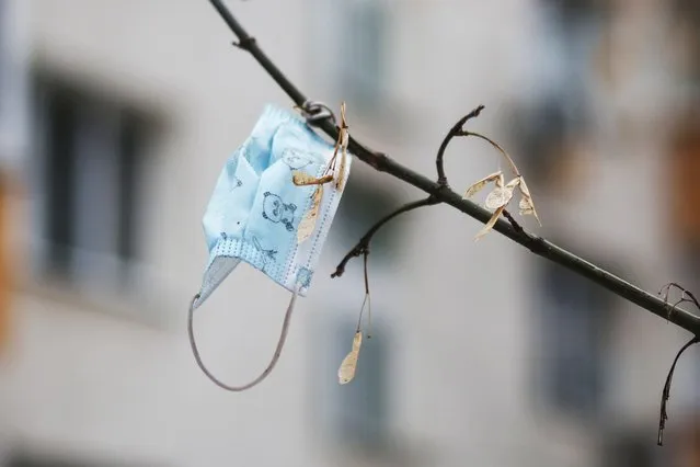 A face mask hangs on a tree in Moscow, Russia, Friday, November 12, 2021. Russian authorities say they are preparing new restrictions to counter the unrelenting surge of coronavirus infections that has engulfed the vast country in recent weeks. (Photo by Pavel Golovkin/AP Photo)