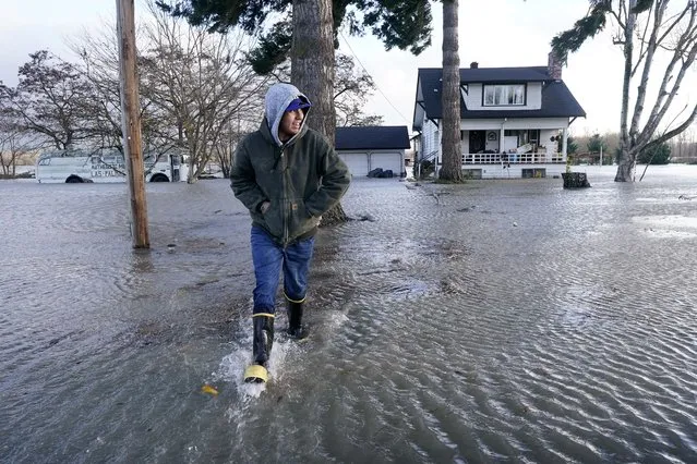 Benjamin Lopez steps from floodwater surrounding his parents home Monday, November 15, 2021, in Sedro-Woolley, Wash. The heavy rainfall of recent days brought major flooding of the Skagit River that is expected to continue into at least Monday evening. (Photo by Elaine Thompson/AP Photo)