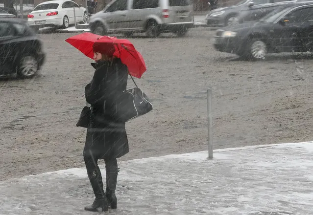 A woman waits before crossing a street amid a snow flurry in central Kiev, Ukraine, February 11, 2016. (Photo by Gleb Garanich/Reuters)