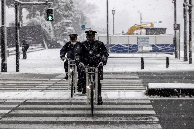 Police officers ride their bicycles as snow falls in Tokyo on January 6, 2022. (Photo by Behrouz Mehri/AFP Photo)