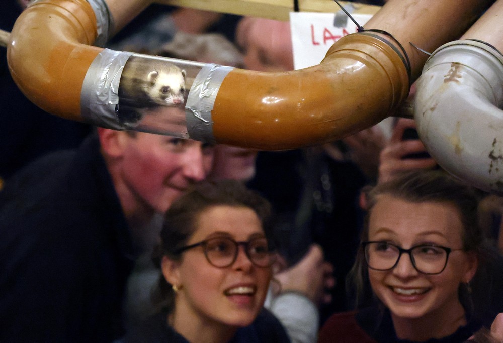 Pictures of the Year 2023, Part 023/224