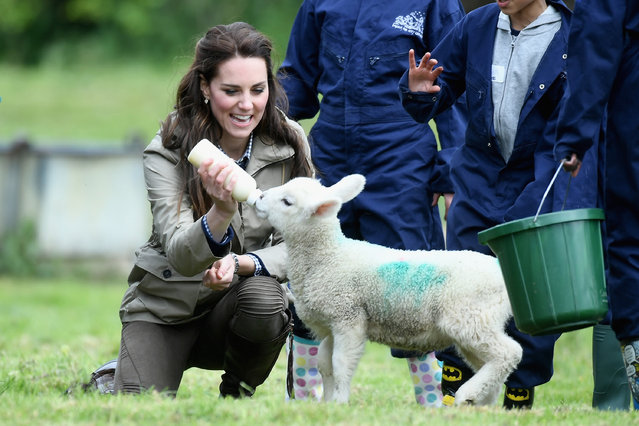 Catherine, Duchess of Cambridge visits Farms for City Children on May 3, 2017 in Arlingham, Gloucestershire.  Farms for City Children is a charity which offers children in the UK a chance to live and work on a real farm for a week. (Photo by Samir Hussein/ WireImage)