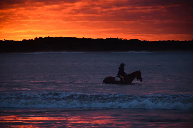 General view of trackwork session at Lady Bay beach ahead of day three of the Warrnambool Racing Carnival on May 05, 2016 in Warrnambool, Victoria. Riders gallop the horses up and down the foreshore before cooling the horses in the ocean. (Photo by Vince Caligiuri/Getty Images)