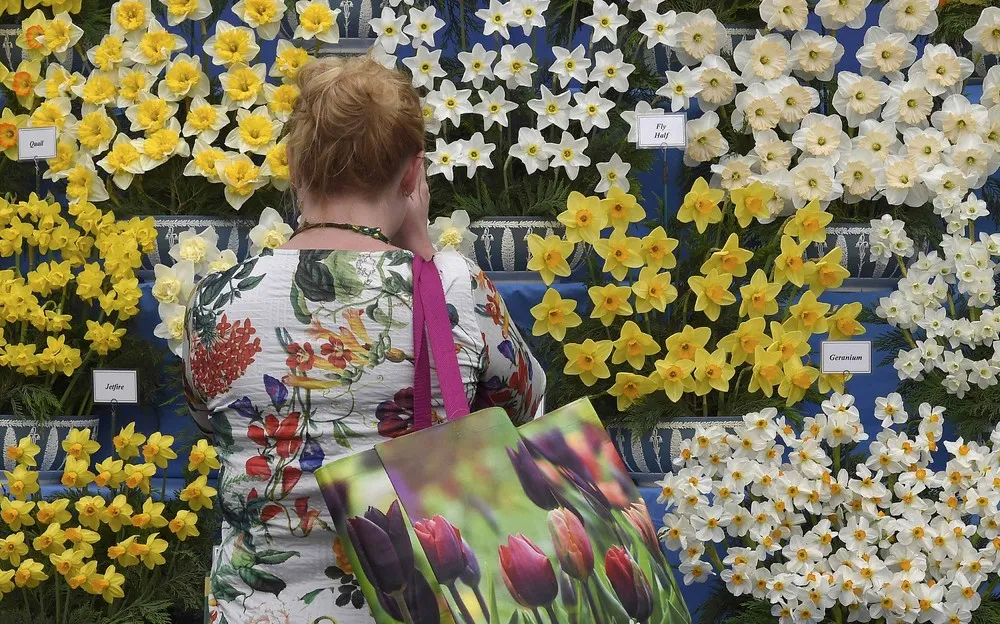 Chelsea Flower Show in London, Part 2