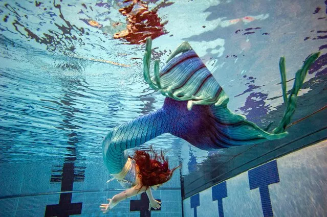 A mermaid poses under water during a shoot with photographer Brett Stanley during MerMagic Con at the Freedom Aquatic Center in Manassas, Virginia on August 7, 2021. MerMagic Con is advertised as the largest Mermaid convention in the world. Some parts of the convention are based on modeling and looks like the Miss Mermaid USA Pageant. The Society of Fat Mermaids looks to bring together plus size people and promote the idea that anyone can become a mermaid. Becoming a mermaid is not cheap, most merfolk spend thousands of dollars on their tail and outfit. Most tails are custom made out of silicone and others are foam and fabric. (Photo by Joseph Prezioso/AFP Photo) 