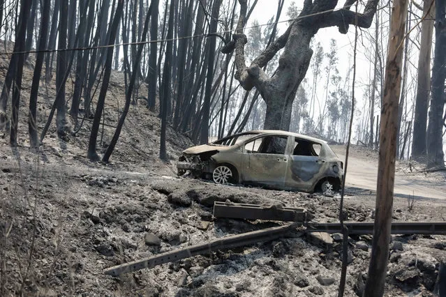 A burned car at N236 road between Figueiro dos Vinhos and Castanheira de Pera, Pedrogao Grande, central Portugal, 18 June 2017. At least sixty two people have been killed in forest fires in central Portugal, with many being trapped in their cars as flames swept over a road on the evening of 17 June 2017. A total of 692 firefighters are providing assistance. (Photo by Paulo Novais/EPA)