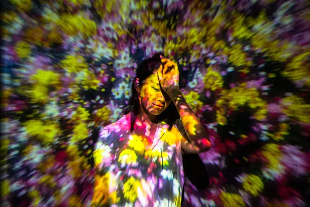 A Chinese woman poses for photos during the Living Digital Forest and Future Park exhibition at 798 Art District, in Beijing, China, 04 August 2017. The Living Digital Forest and Future Park exhibition by teamLab group presents the large-scale interactive digital installation and runs from 20 May to 10 October 2017. (Photo by Roman Pilipey/EPA)