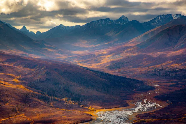 Fifth place, Landscapes. Axel Gomeringer – Yukon Gold Rush. Tombstone territorial park. (Photo by Axel Gomeringer/2020 GDT Nature Photographer of the Year)