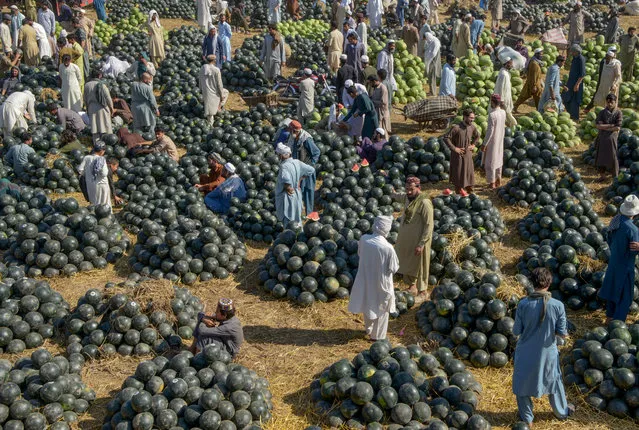 Vendors sell watermelons at a fruit market in Peshawar, Pakistan on May 6, 2020. (Photo by Abdul Majeed/AFP Photo)