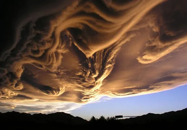 Undulatus asperatus Is A Cloud Formation