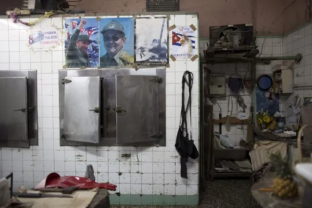 Pictures of Cuba's President Raul Castro (2nd L) and former president Fidel Castro are displayed beside a poster advertising the visit of Pope Francis to Cuba in a butcher shop in downtown Havana, September 4, 2015. (Photo by Alexandre Meneghini/Reuters)