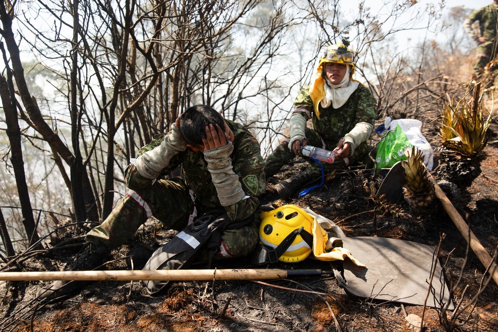 Pictures of the Year 2024, Part 005/240